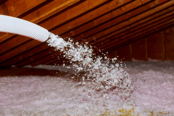 Best Soundproof Insulation Installation  in Burgettstown, PA