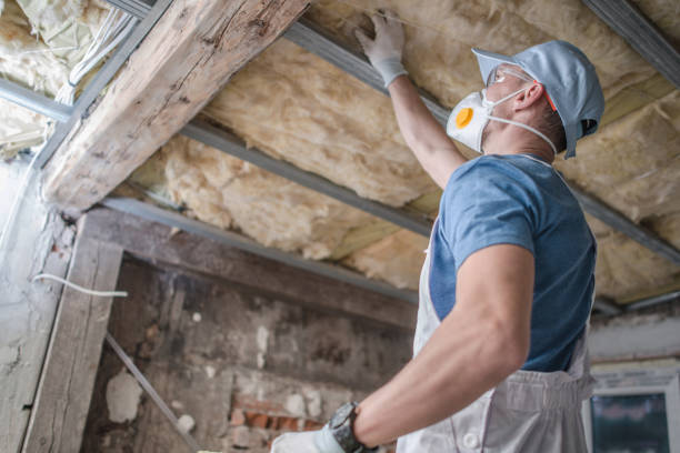 Best Affordable Insulation Services  in Burgettstown, PA
