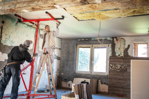 Best Wall Insulation Contractor  in Burgettstown, PA