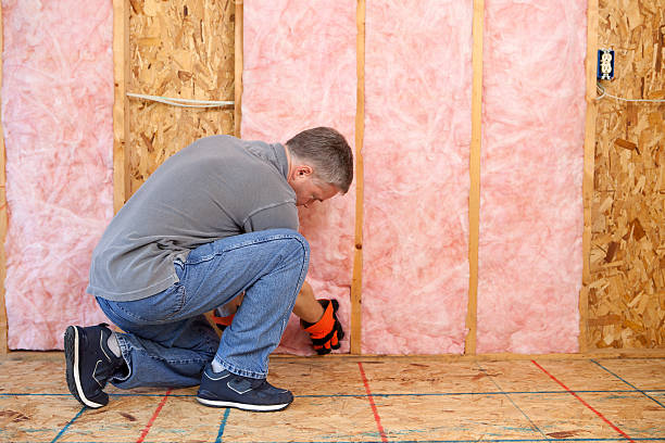 Best Energy-efficient Insulation  in Burgettstown, PA