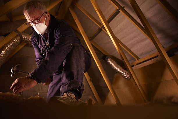 Best Crawl Space Insulation  in Burgettstown, PA