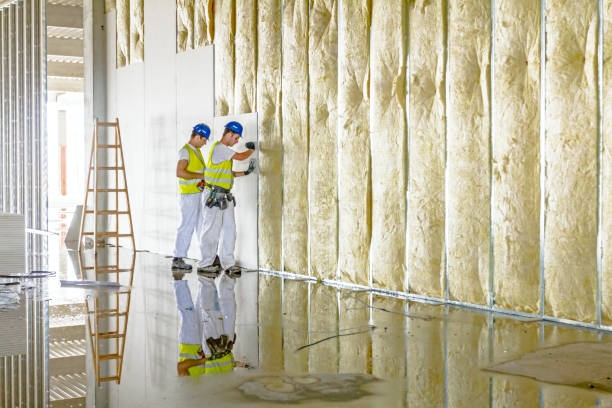 Best Residential Insulation Services  in Burgettstown, PA